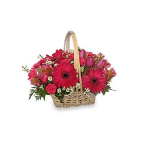 Best Wishes Basket of Fresh Flowers