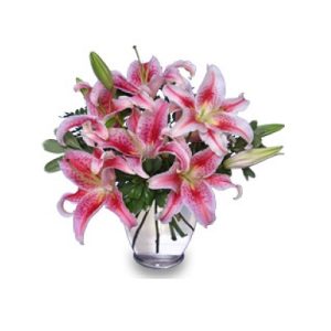 Stunning Stargazers Arrangement