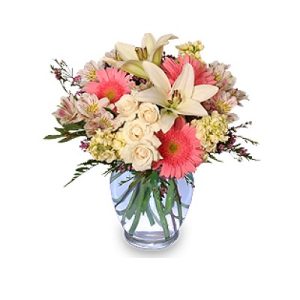 Welcome Baby Girl Flower Arrangement