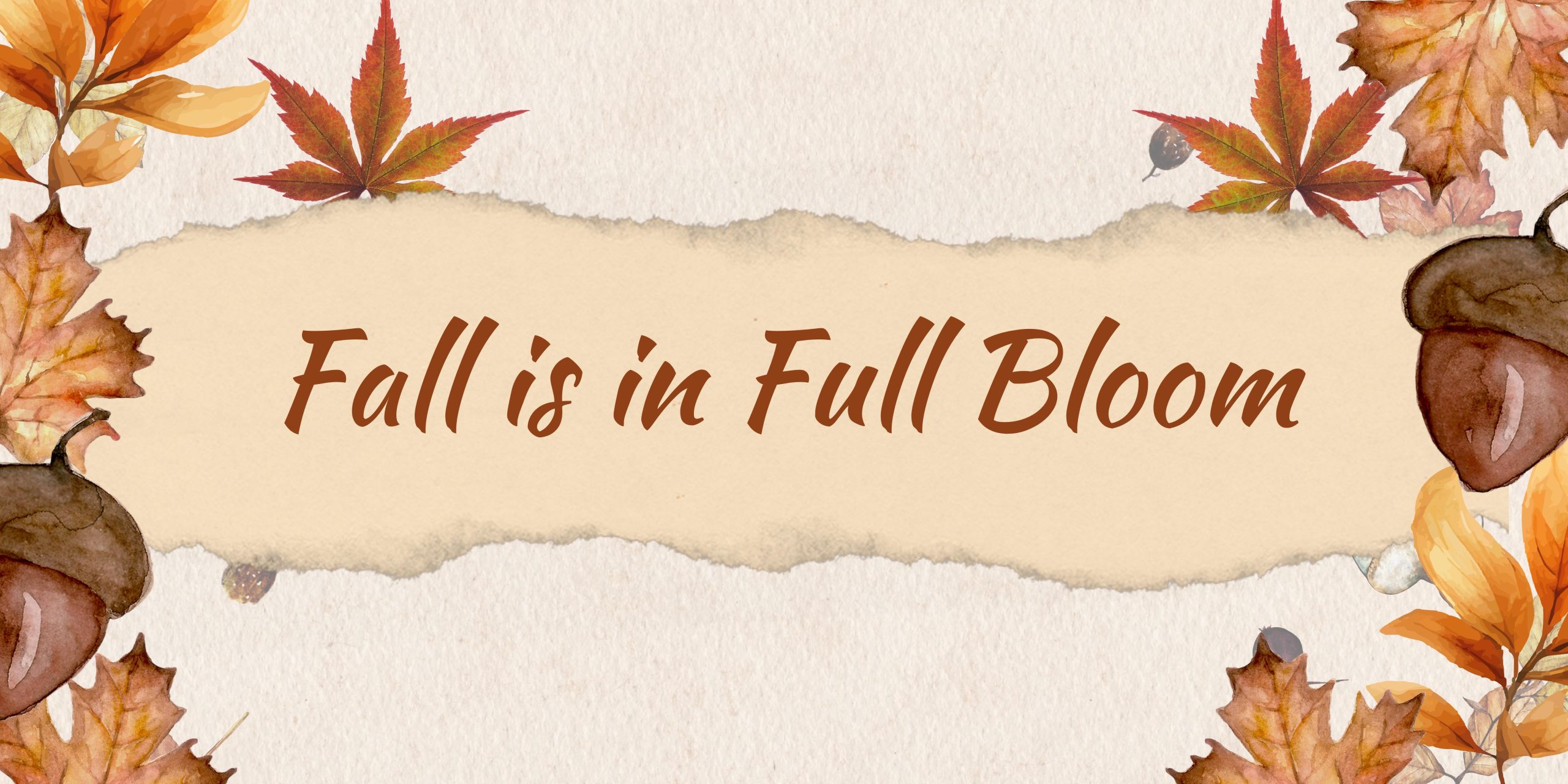 FALL IS IN FULL BLOOM 2 FALL IS IN FULL BLOOM 2 1 scaled