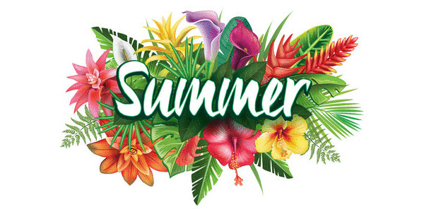 summer time banner